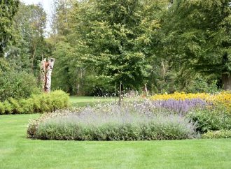 How Effective ADHD Care Can Improve Focus And Daily Productivity