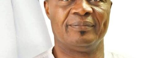 11 Best Heirloom Tomatoes to Grow on the Farm