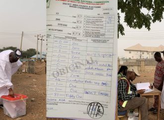 Gbenga Hashim Delivers Overwhelming Victory for PDP Against Wike, ADC in Bwari Area Council — Akelicious