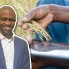 Steady interest rates strengthen agricultural investment outlook