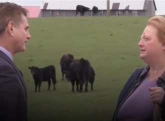 Family Rejects $26M Offer to Convert Legacy Farmland Into Data Center, Says It Means Nothing — Akelicious