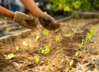 What to Add to the Field in March