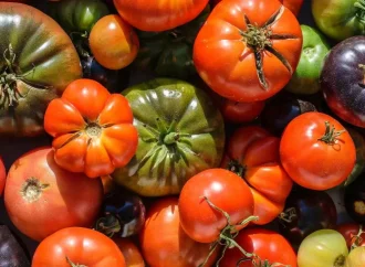 11 Best Heirloom Tomatoes to Grow on the Farm