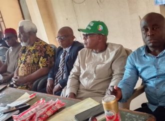 Prof.Joseph Ugboaja Inaugurates Ihiala Renewed Hope Ambassadors Executives Ahead of 2027 Push — Akelicious