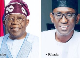 NSA Forest Security Service Initiative Gains Momentum — Akelicious