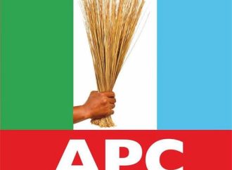 APC Fixes ₦50m Governorship Form, ₦100m Presidential Ticket for 2027 — Akelicious