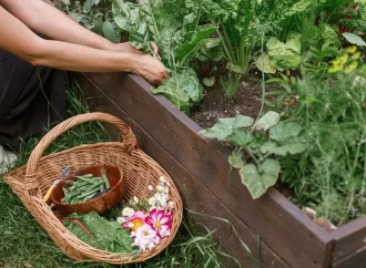 A Conversation with Brandy Hall