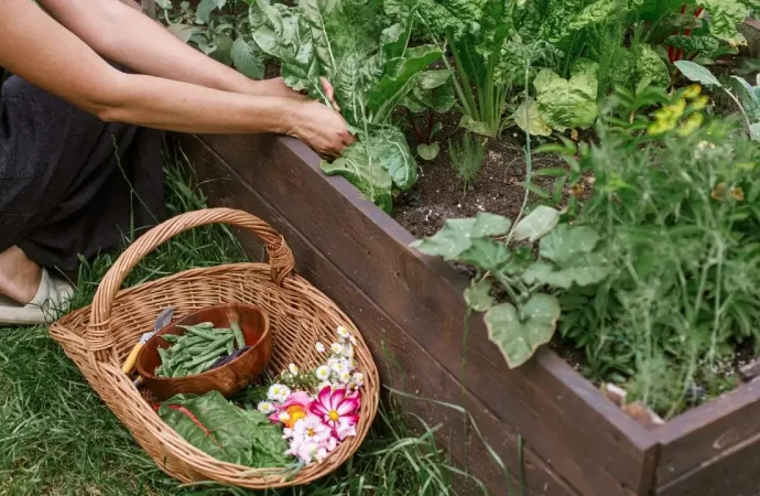 A Conversation with Brandy Hall