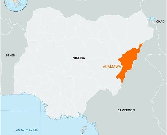 Hunter Dies After Accidental Explosion During Patrol in Adamawa — Akelicious