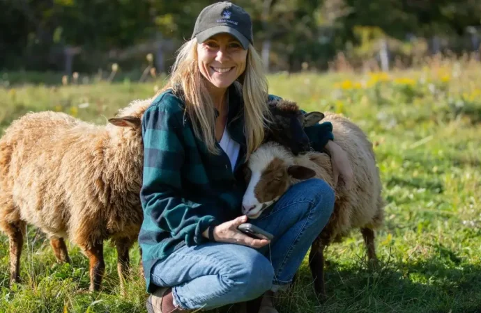 On a Maine Farm, Regeneration Starts With the Sheep