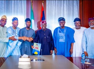 Tinubu Backs Hamzat for Lagos Governorship After Meeting with GAC Leaders — Akelicious