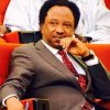 Shehu Sani Urges Kwara Governor to Drop Charges Against Saraki Over Offa Robbery Case — Akelicious