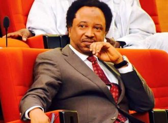 Shehu Sani Urges Kwara Governor to Drop Charges Against Saraki Over Offa Robbery Case — Akelicious