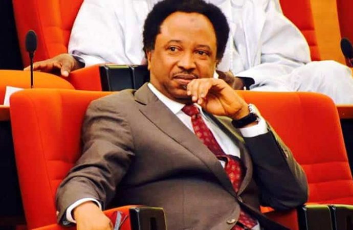 Shehu Sani Urges Kwara Governor to Drop Charges Against Saraki Over Offa Robbery Case — Akelicious
