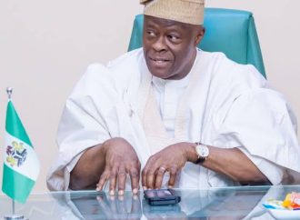 “Too Much Truth?” — What Led to Wale Edun’s Sudden Sack as Finance Minister — Akelicious