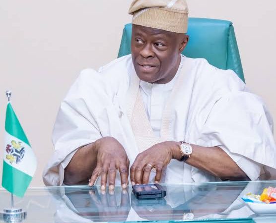 “Too Much Truth?” — What Led to Wale Edun’s Sudden Sack as Finance Minister — Akelicious