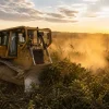 From Wilderness to Harvest: Maximizing Yields with Advanced Dozer Technology in Farm Landscaping