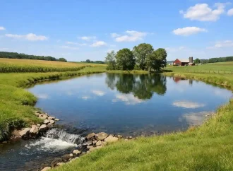 Building a Farm Pond: Step-by-Step Guide for Water Storage