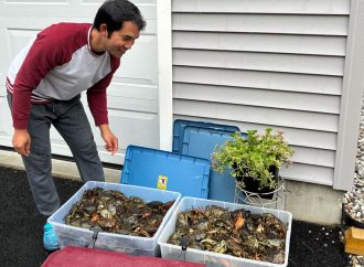 Maine’s Cambodian Community Is Keeping Invasive Crabs at Bay