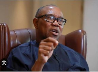 Rochas Accuses Peter Obi of Using Supporters as “Political Bargaining Chips” — Akelicious