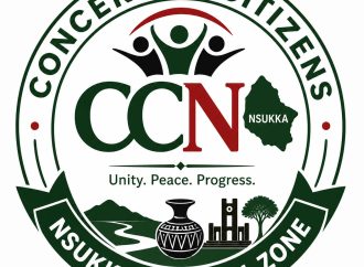 Nsukka group warns Peter Mbah over rumoured senatorial district ticket to Chief Ikeje Asogwa — Akelicious