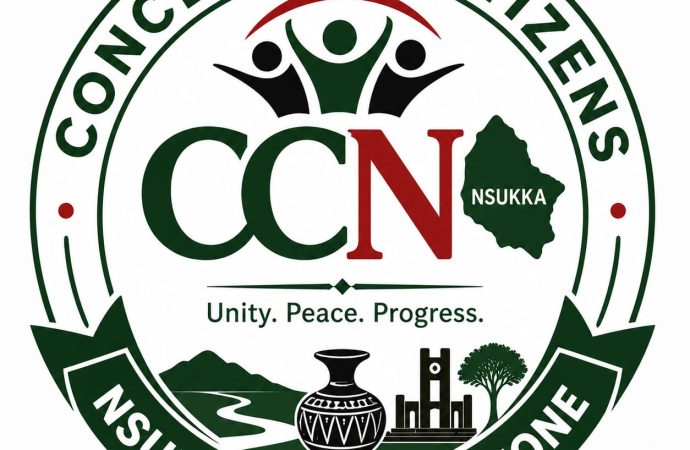 Nsukka group warns Peter Mbah over rumoured senatorial district ticket to Chief Ikeje Asogwa — Akelicious