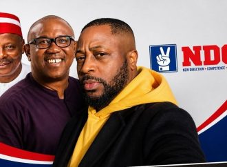 Nigeria Needs Balance — Tunde Ednut Supports Peter Obi’s NDC Move — Akelicious