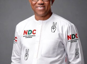 Peter Obi Allegedly Shopping for New Party as Jonathan Linked to NDC Takeover — Reports, Unverified — Akelicious