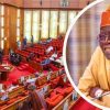 Senate Pushes Tinubu To Approve Increase In Nigeria’s Health Fund Allocation — Akelicious