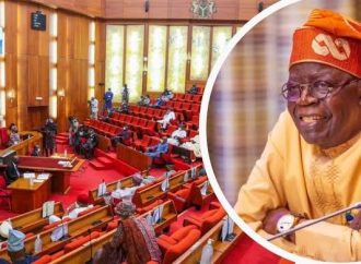 Senate Pushes Tinubu To Approve Increase In Nigeria’s Health Fund Allocation — Akelicious
