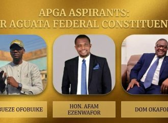 Name-Dropping and the Aguata Federal Constituency House of Representatives Race — Akelicious