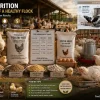 How Much Feed Does a Chicken Eat Per Day? Full Chart + Calculator