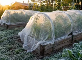 How to Protect Plants From Frost: 15 Easy Cold-Weather Hacks That Actually Work