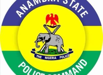 Police Launch Investigation After Woman Caught Filming Newborn Babies in Obosi Hospital — Akelicious