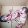 Anambra Police Arrest Parents After Lifeless Twin Infants Found in Okpoko Drainage — Akelicious