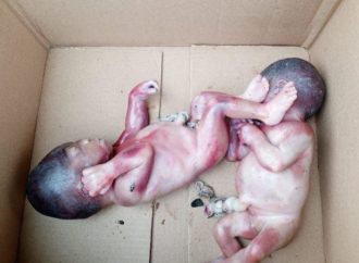 Anambra Police Arrest Parents After Lifeless Twin Infants Found in Okpoko Drainage — Akelicious