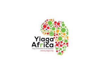 YIAGA Africa Faults Result, Alerts Of Vote Buying, People Voted Without PVCs — Akelicious