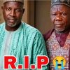 Two Kidnapped APC Chieftains Confirmed Dead in Captivity After Birnin Gwari Forest Abduction — Akelicious