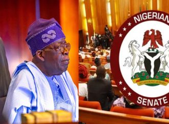 President Tinubu Sends Bill to Senate for Creation of State Police in Major Security Reform Push — Akelicious