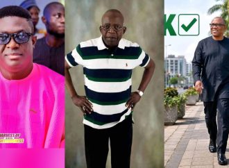 Peter Obi’s Call for Tinubu’s Resignation Is Political, Not Nigerians’ Position — Ayodeji Ologun — Akelicious