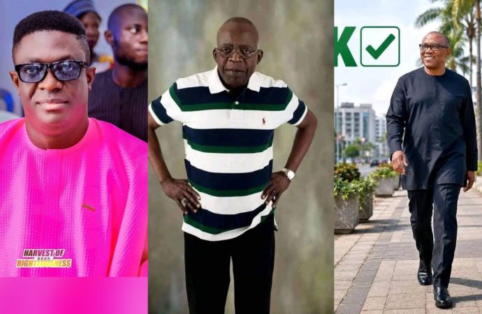 Peter Obi’s Call for Tinubu’s Resignation Is Political, Not Nigerians’ Position — Ayodeji Ologun — Akelicious