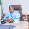 Bandits Don’t Deserve a Second Chance, They Must Be Eliminated — Governor Uba Sani — Akelicious