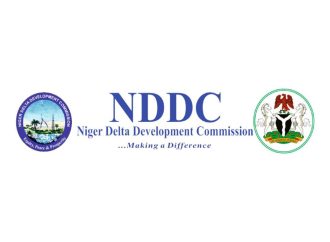 Group Defends NDDC, Faults Hilda Dokubo Over Water Crisis Claims — Akelicious