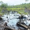 Examining NDDC’s Role in Bille Kingdom’s Environmental Challenges — Akelicious