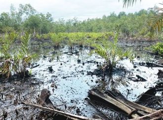 Examining NDDC’s Role in Bille Kingdom’s Environmental Challenges — Akelicious