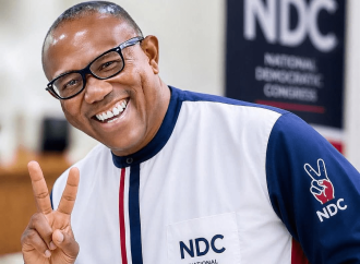 Peter Obi Reacts to NDC Court Ruling, Says His 2027 Presidential Bid Will Survive — Akelicious