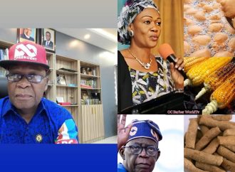 Honest Advice From Remi Tinubu Has Been Twisted Into Abuse