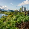 The Rise of the Regenerative Economy, Moving Beyond Sustainability