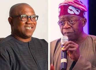 Ohanaeze Commends Tinubu Over Southeast Road Projects, Says Peter Obi’s Views Don’t Represent Ndigbo — Akelicious